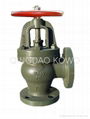 Marine Cast Iron Angle Valve JIS F7308