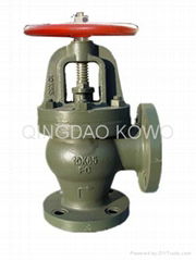 Marine Cast Iron Angle Valve JIS F7308 10K