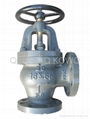 Marine Cast Iron Angle Valve JIS F7310