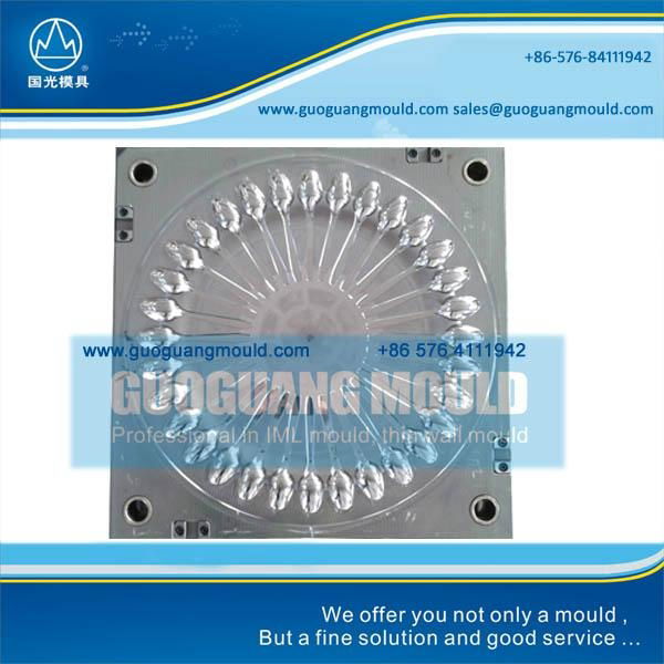 32 cavities plastic thin wall spoon tableware injection mould