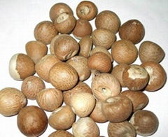 Dried betel nuts