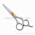 Razor Hair Cutting Scissors 1