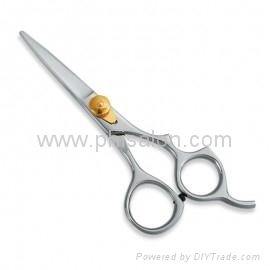 Razor Hair Cutting Scissors