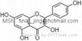 Kaempferol  1