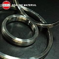 API-6A-Bx-Seals-O-Ring-Joint-Gasket 1