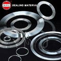 Kammprofile-Corrugated-Gasket