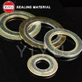 Graphite-Spiral-Wound-Gasket