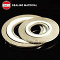 PTFE-Metal-Gasket