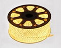 AC110V-220V 5050 LED Ribbon Strip 1