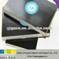 giga black construction plywood/12mm white oak veneer plywood price