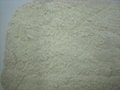 Tapioca residue powder 3