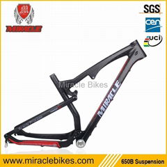 Wonderfull design bicycle toray carbon frames