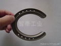 titanium alloy horse shoe 1