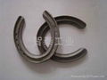 titanium alloy horse shoe 2