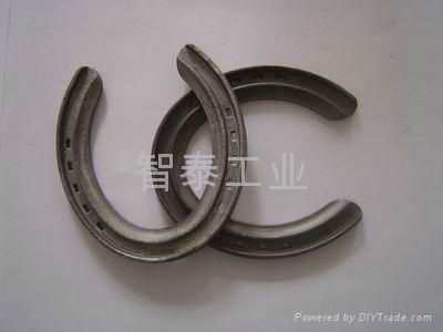 titanium alloy horse shoe 2