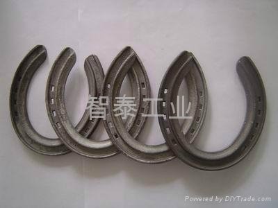 titanium alloy horse shoe 5