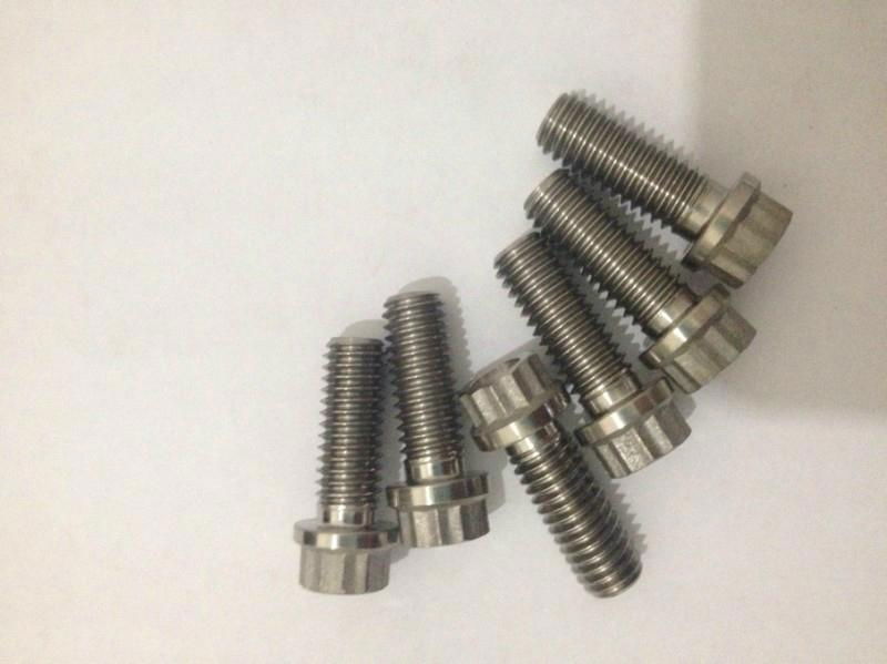 Titanium screw 2