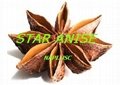 Star Aniseed Supplier from VIETNAM