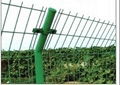 Bilateral Wire Fence