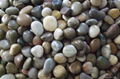 Polished Mixed Pebble Stone