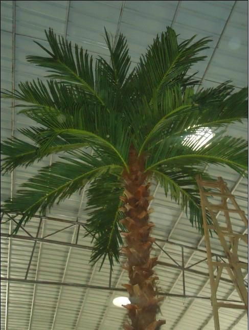 2014 Artificial Washington palm tree fake palm decorate outdoor plant  4