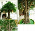 Decorative fake outdoor high imitated artificial banyan ficus tree 1