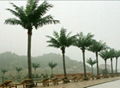 Wholesale high quanlity  artificial fake coconut tree for decoration outdoor 2