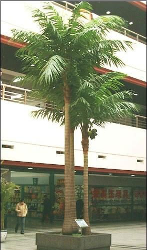 Wholesale high quanlity  artificial fake coconut tree for decoration outdoor 4