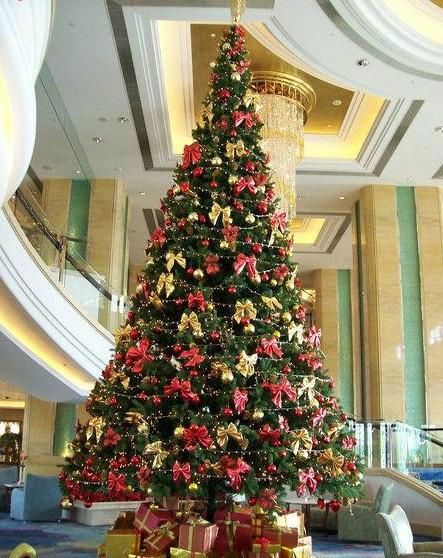 2014 new design outdoor christmas tree Xmas tree gift plant  3