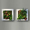 Aritificial/fake/Plastic Plant Wall Artificial Garden plant wall decorate indoor 4