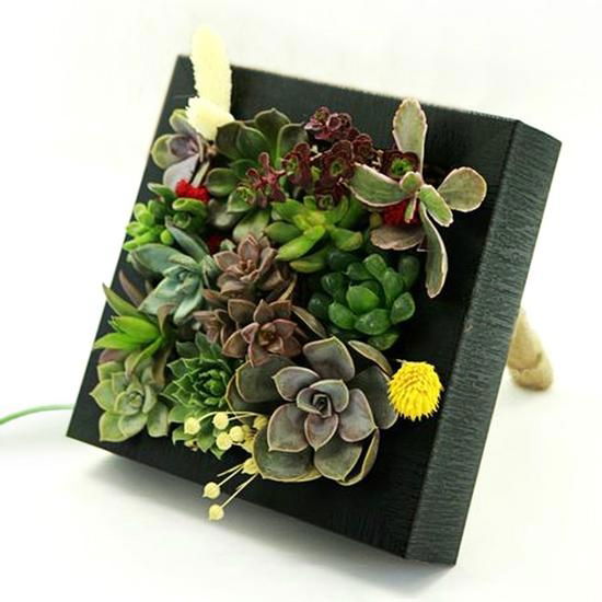 Aritificial/fake/Plastic Plant Wall Artificial Garden plant wall decorate indoor 5