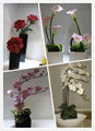 Artificial flower lily orchid for decoration wedding gift fake buds weather 2