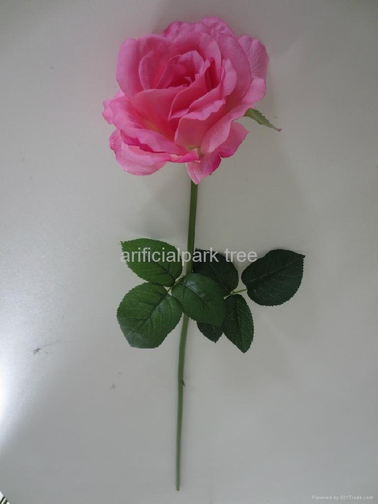 single rose  3