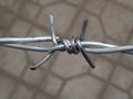 Hot-dipped Galvanized Barbed Wire/barbed