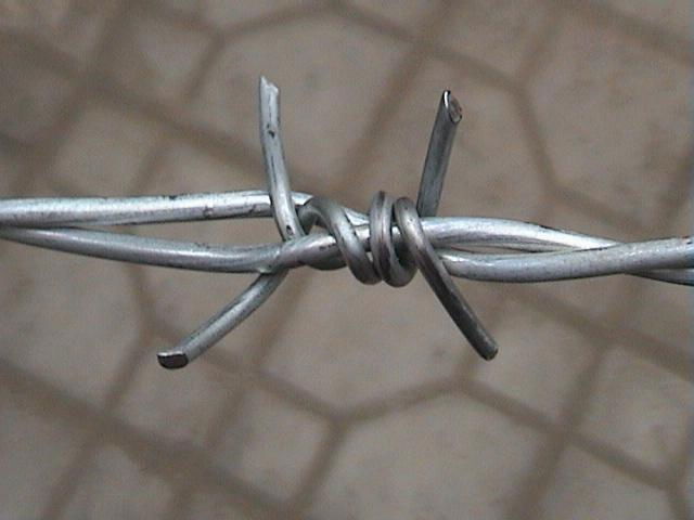 Hot-dipped Galvanized Barbed Wire/barbed Wire Factory