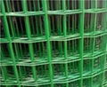 Galvanized welded wire mesh for cage