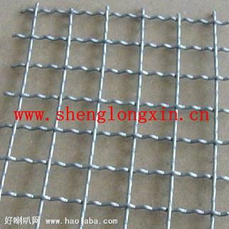 Square Hole Crimped Wire Mesh 3