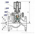 ZCZP中温电磁阀 3