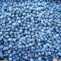 blueberry frozen fruit,price for frozen blueberry