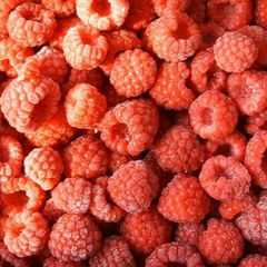 hot sale frozen raspberry fruit