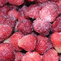 hot sale frozen strawberry frozen fruit 1