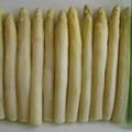 whole frozen white asparagus new crop 1