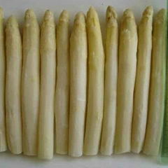 whole frozen white asparagus new crop