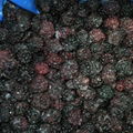 price for frozen blackberry fruit