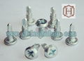 Pan head white color zinc coated phillips drive self drilling screw 