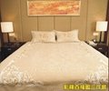 Bedford map three-piece Colored cotton bedding  