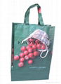 PP Woven handle shopping bag