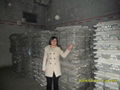 Magnesium Ingots 2