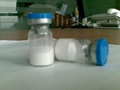 Thymopentin(TP-5) with GMP 1