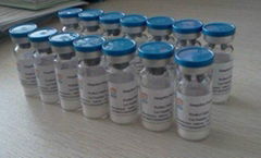 Melanotan 2  China GMP Manufacturer